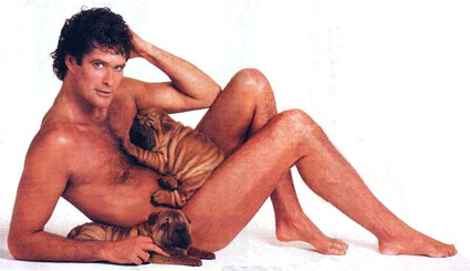 hoff.jpg