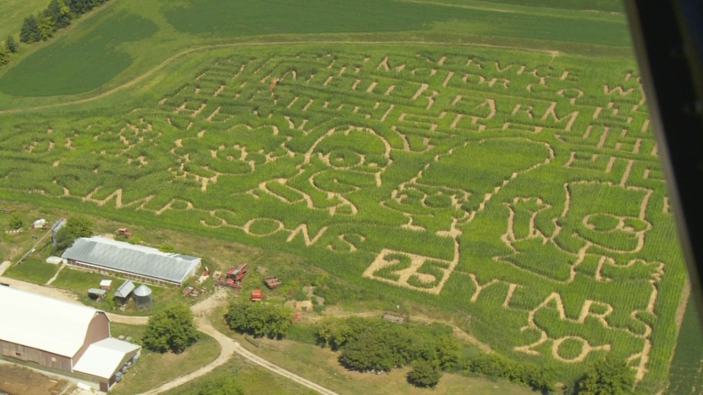 simpsons maze