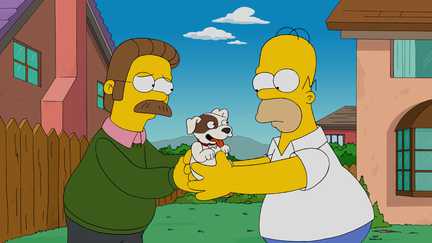 Awww...look at the puppy