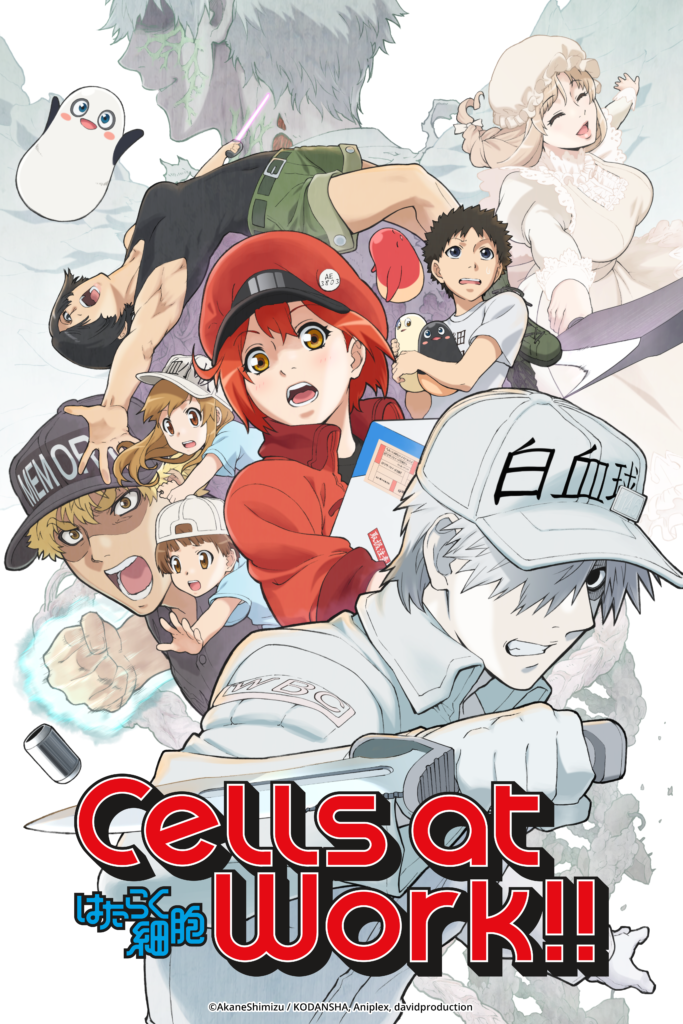 Cells at Work! Review • Anime UK News