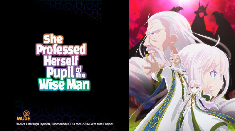 She Professed Herself Pupil of the Wise Man (anime)