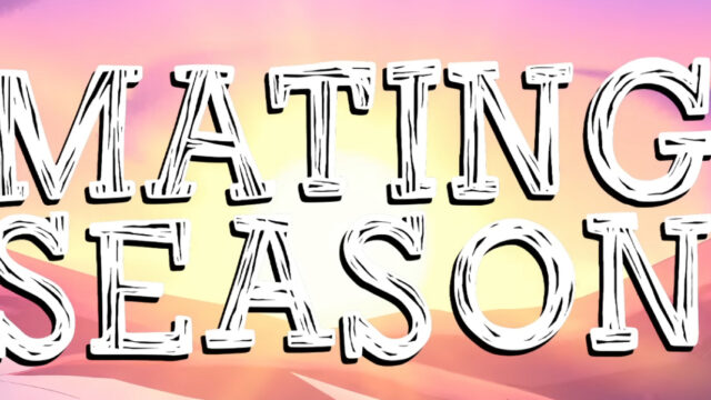 'Mating Season' - YouTube
